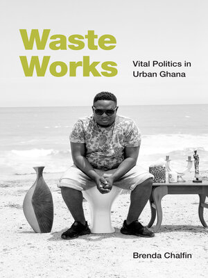 cover image of Waste Works